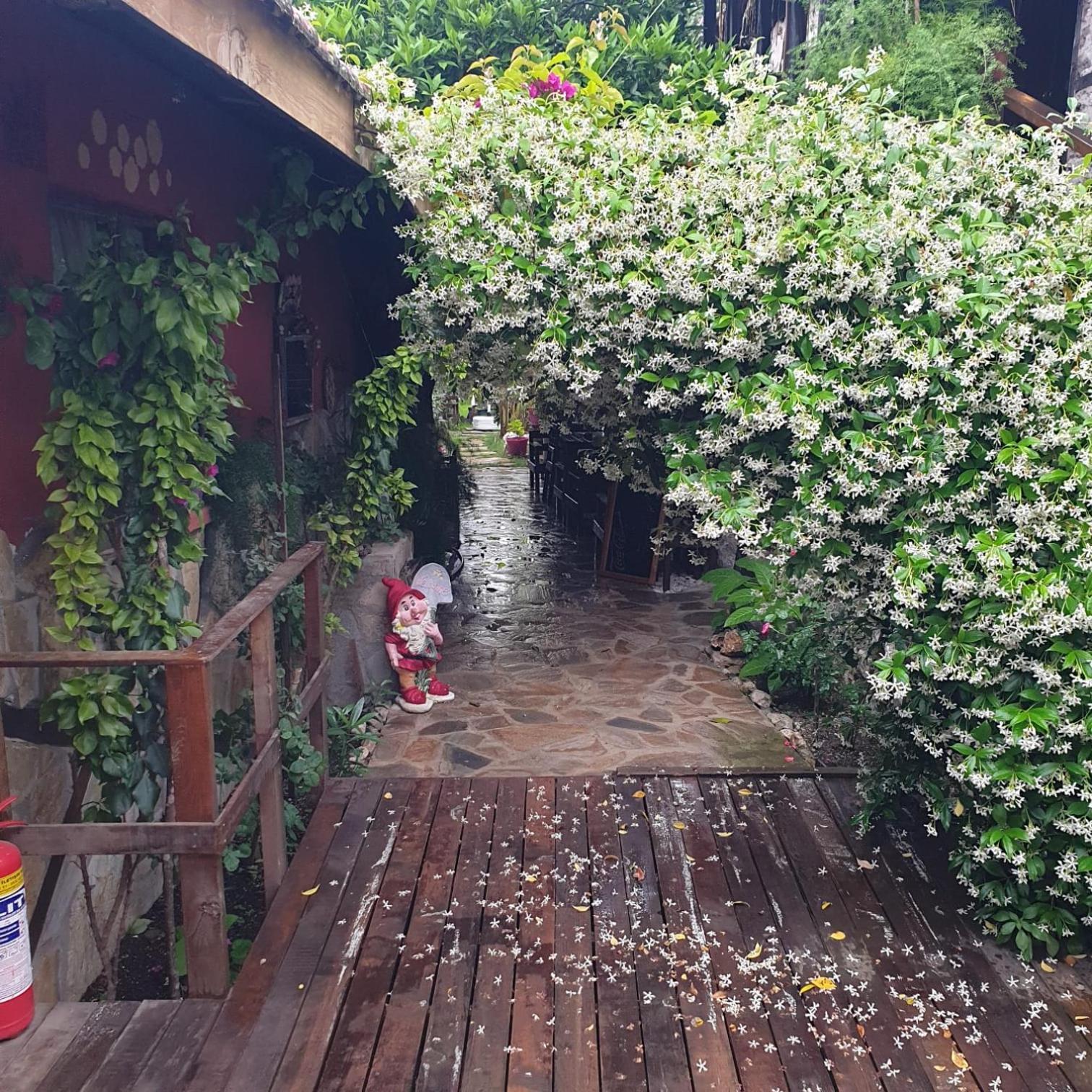 Apartament Demeter Rose Stonehouse Pansion Antalya Zewnętrze zdjęcie