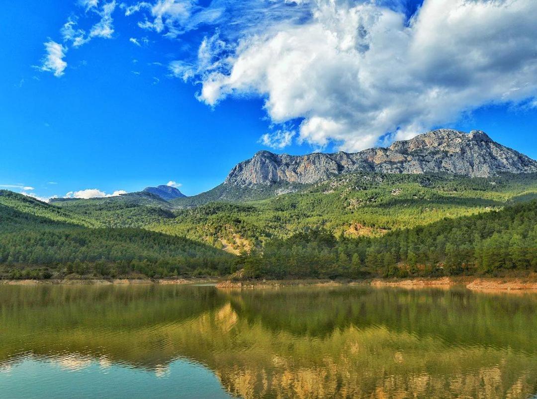 Apartament Demeter Rose Stonehouse Pansion Antalya Zewnętrze zdjęcie