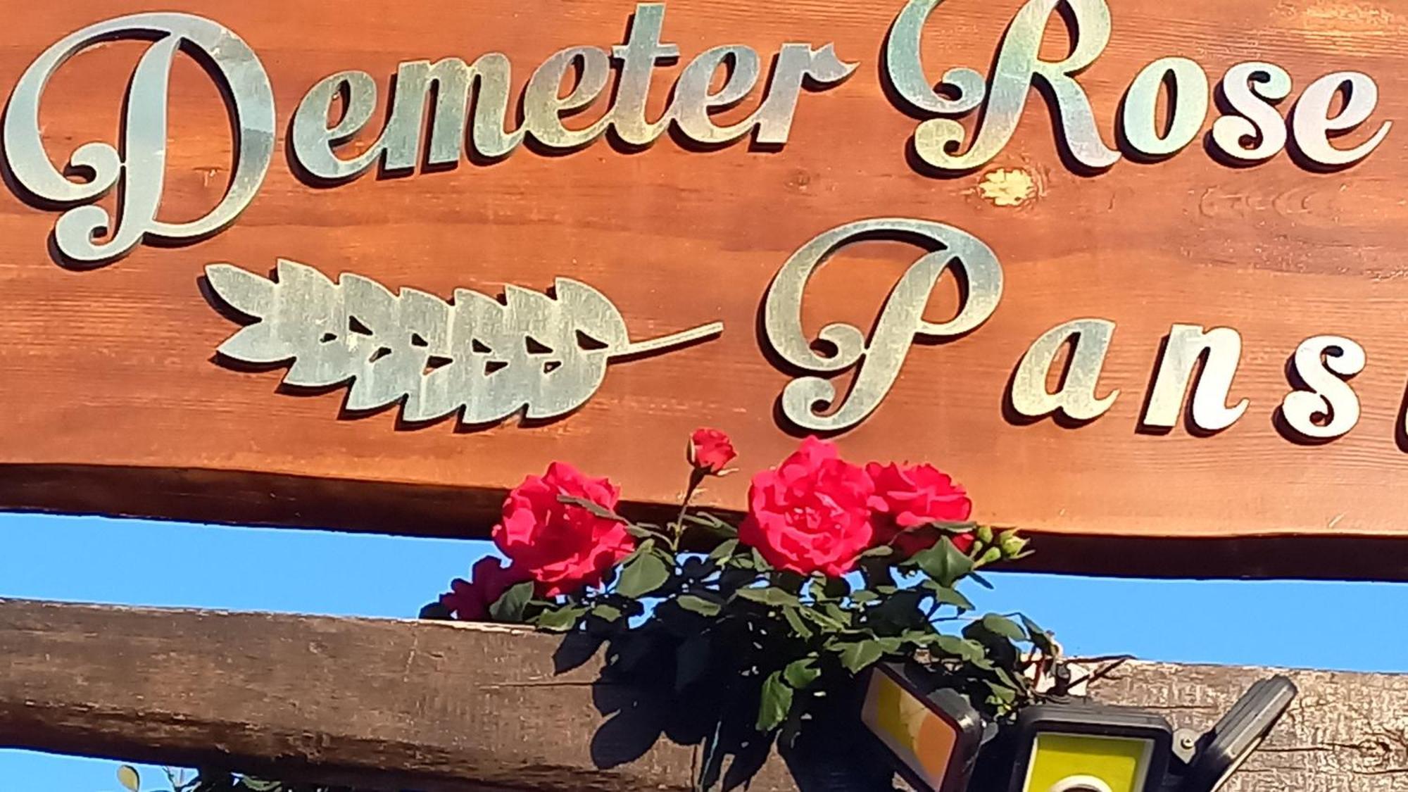 Apartament Demeter Rose Stonehouse Pansion Antalya Zewnętrze zdjęcie